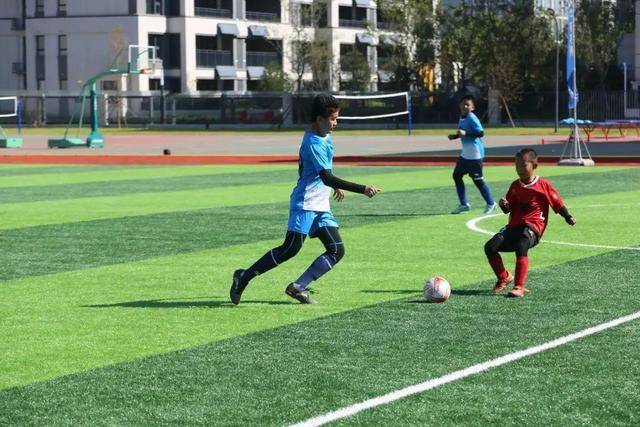 乔帅：对失利感到非常遗憾 我承担所有的责任